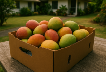 “You Know You Live in Hawai‘i When…” – The Great Mango Exchange