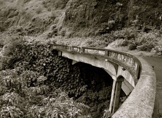 Hiking with Ghosts and Guavas: An Afternoon on the Old Pali Road