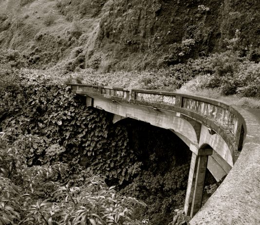 Hiking with Ghosts and Guavas: An Afternoon on the Old Pali Road