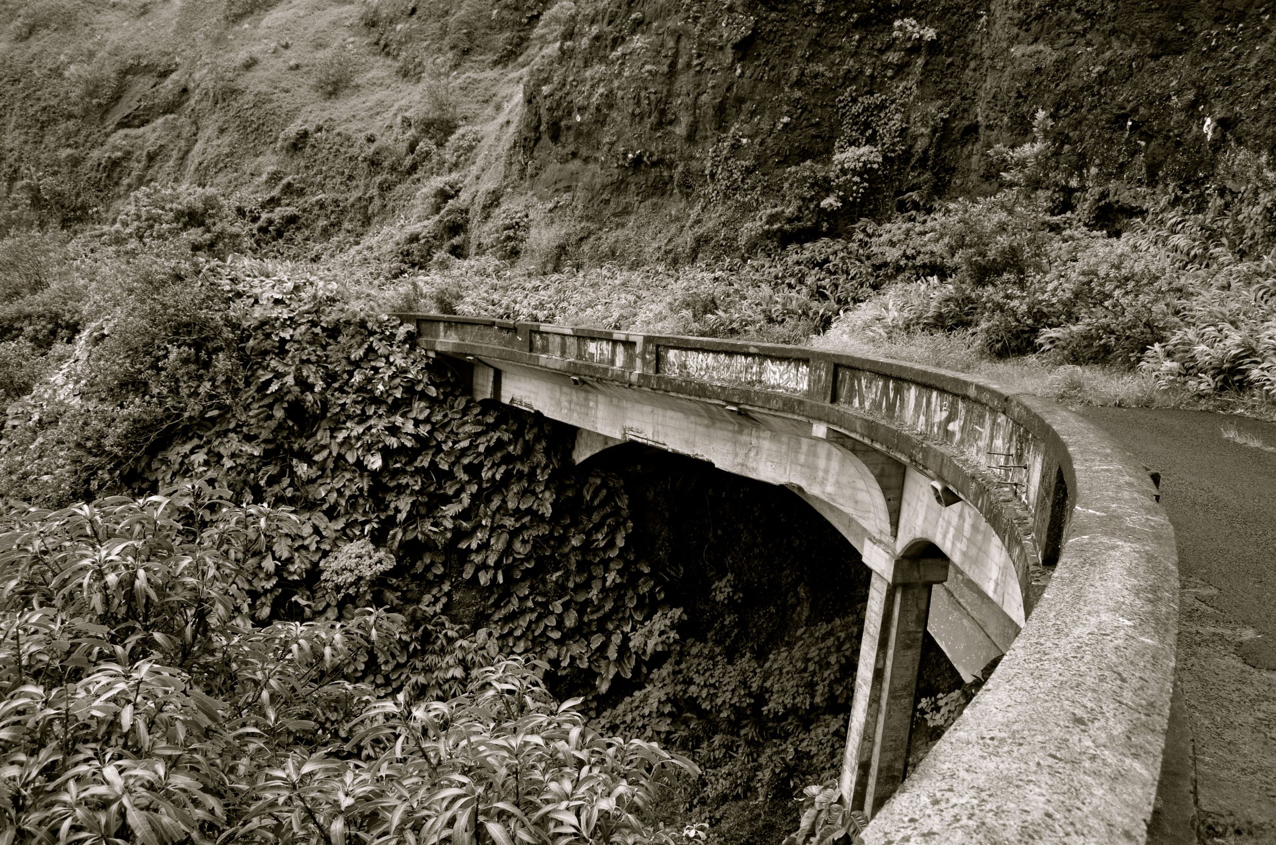 Hiking with Ghosts and Guavas: An Afternoon on the Old Pali Road