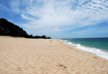 Surf, Stars, and Secret Trails — O‘ahu’s Hidden Adventures for 2026