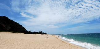 Surf, Stars, and Secret Trails — O‘ahu’s Hidden Adventures for 2026