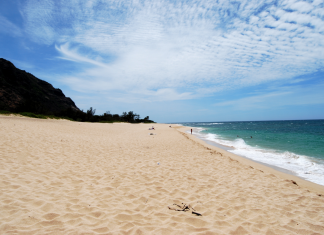 Surf, Stars, and Secret Trails — O‘ahu’s Hidden Adventures for 2026