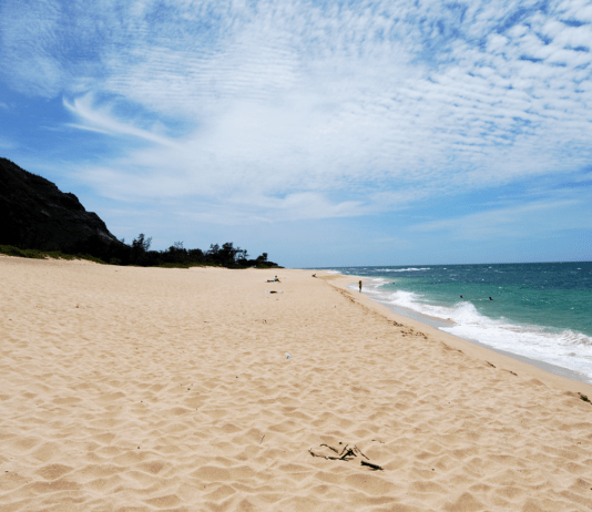 Surf, Stars, and Secret Trails — O‘ahu’s Hidden Adventures for 2026