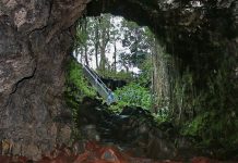 Hidden Things to Do in Hawaii This Week (Jan 5–11, 2026)