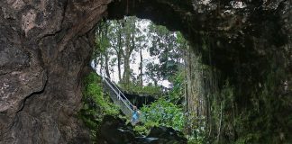 Hidden Things to Do in Hawaii This Week (Jan 5–11, 2026)