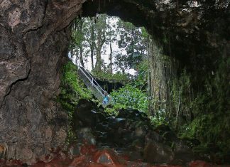 Hidden Things to Do in Hawaii This Week (Jan 5–11, 2026)