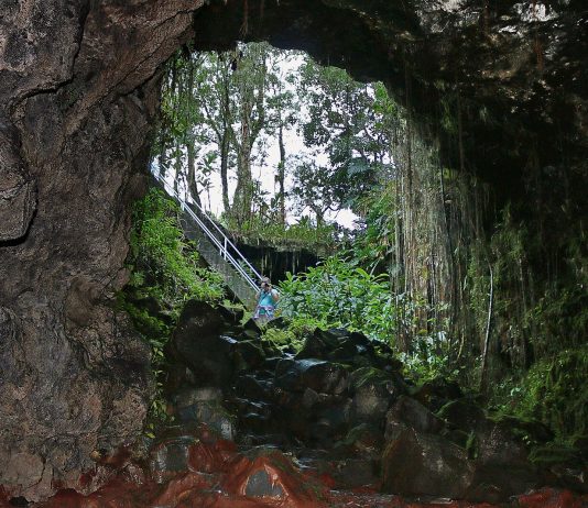 Hidden Things to Do in Hawaii This Week (Jan 5–11, 2026)