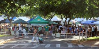 Free Things to Do in Hawaii This Week